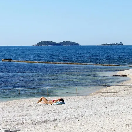 Triple 13591d 招待所 3*