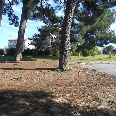 招待所 Triple 13591d 罗维尼